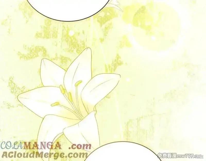 第227话100