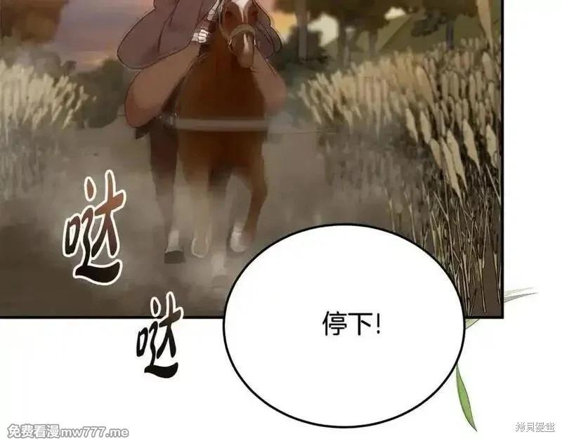 第210话223