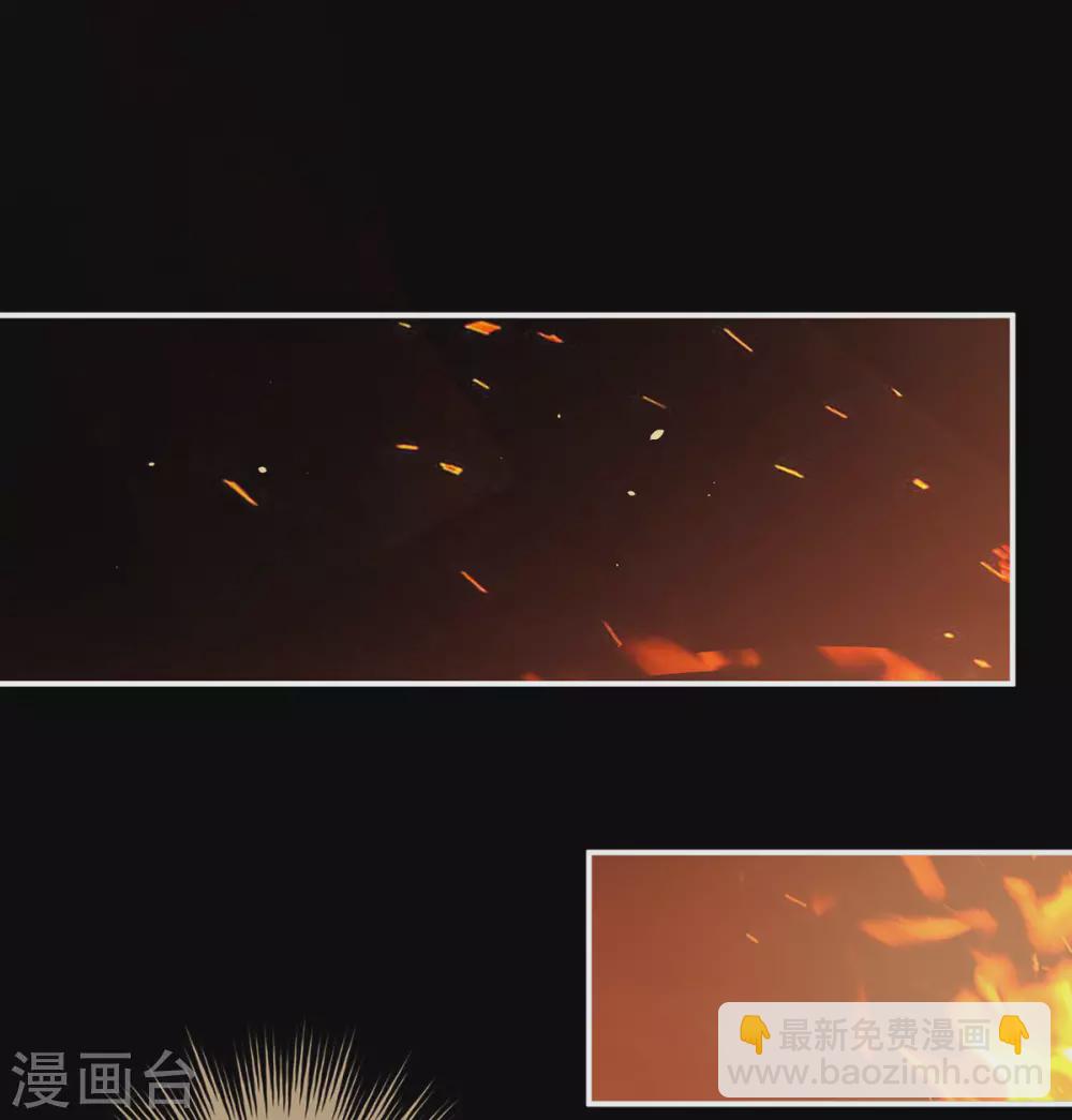 第222话 飞蛾扑火11