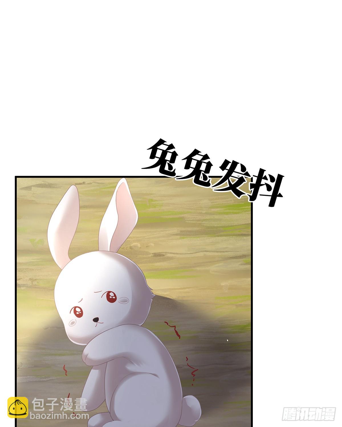 特别的参赛选手32