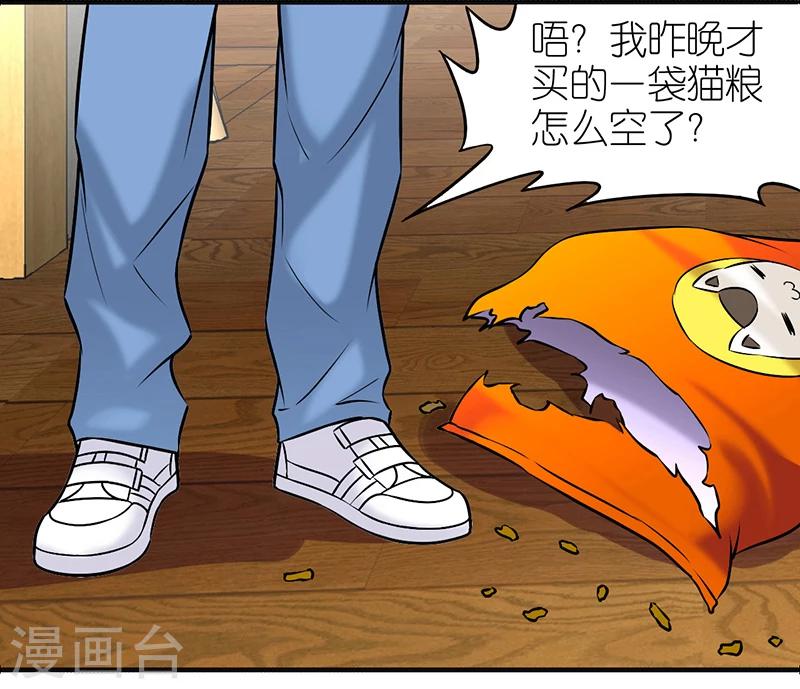 第383话 宠物31