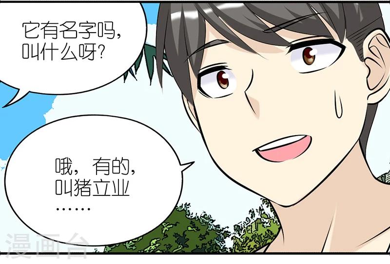 第383话 宠物310