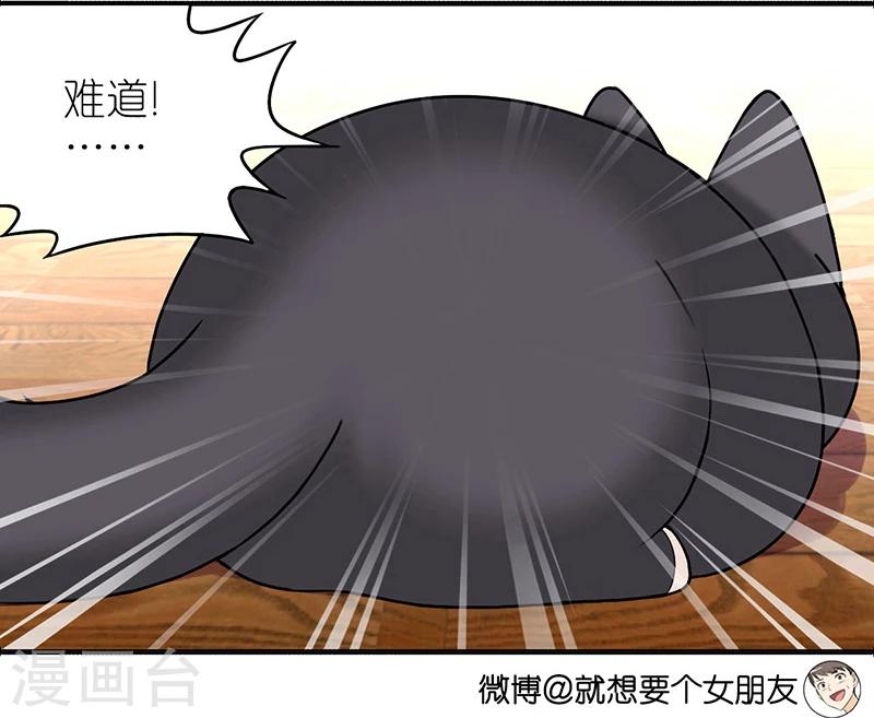 第383话 宠物32
