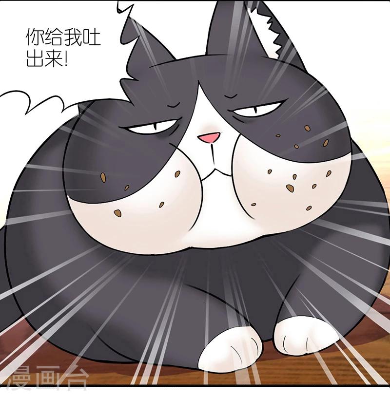 第383话 宠物33