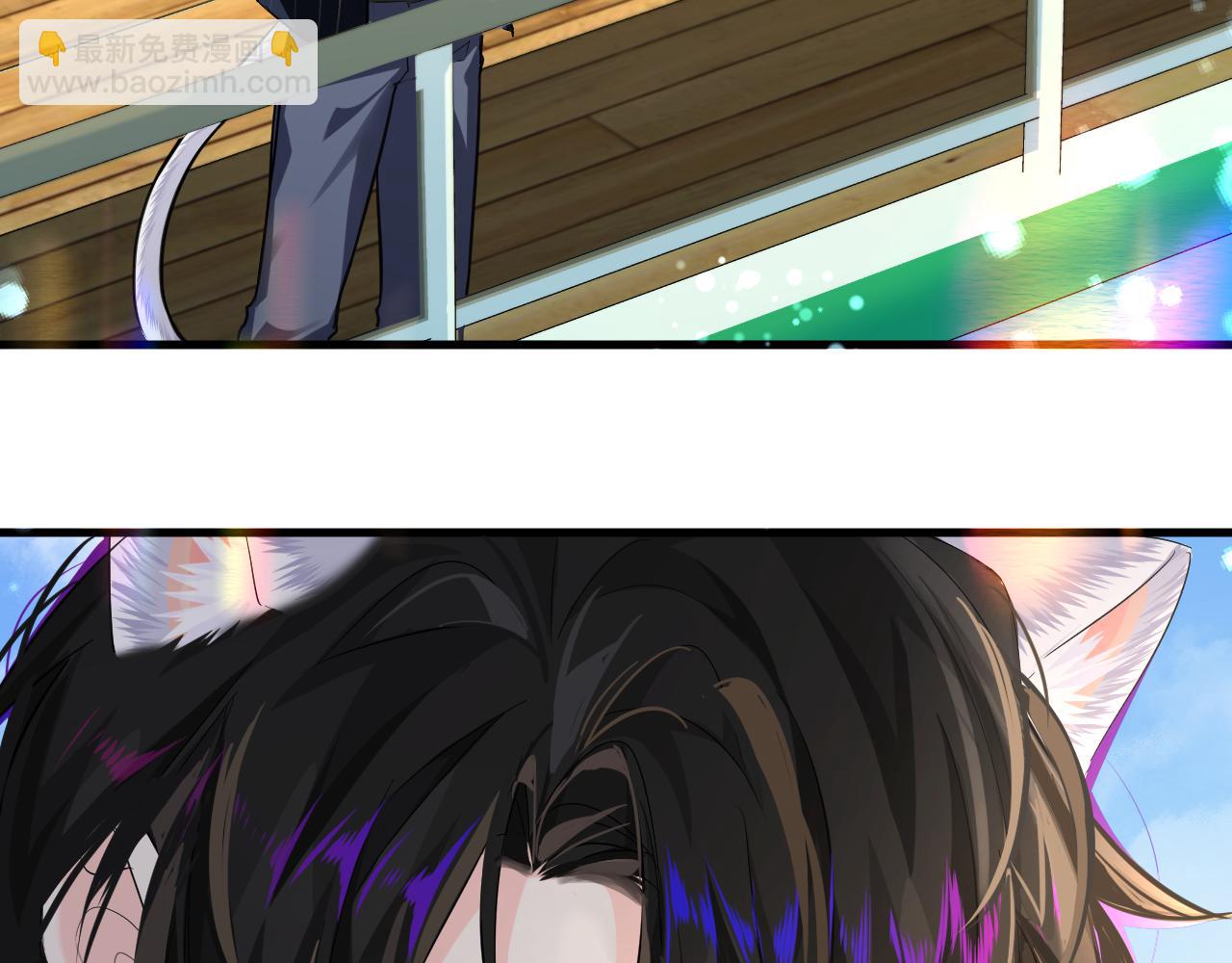 第94话 热爱......小猫咪10