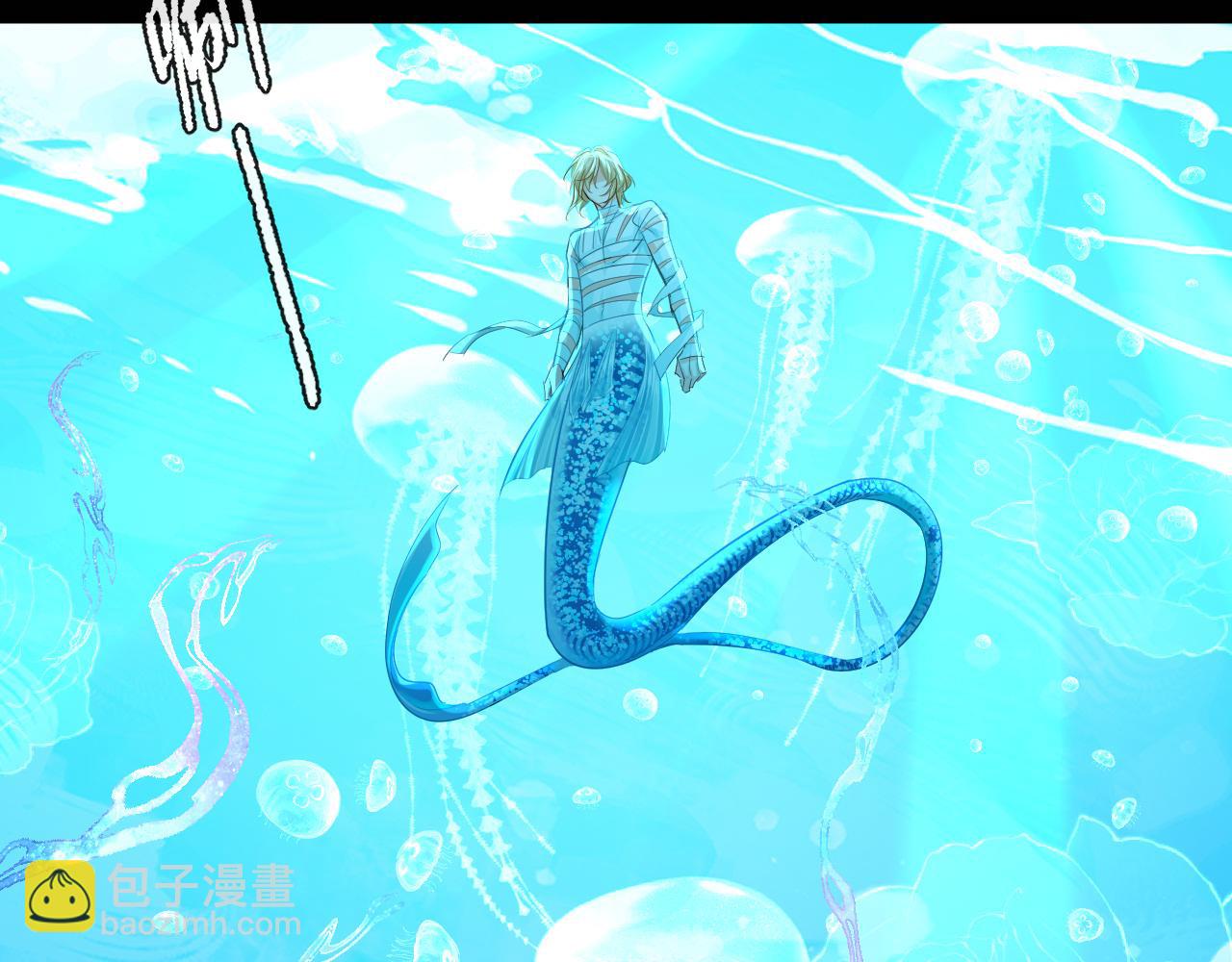 第94话 热爱......小猫咪39