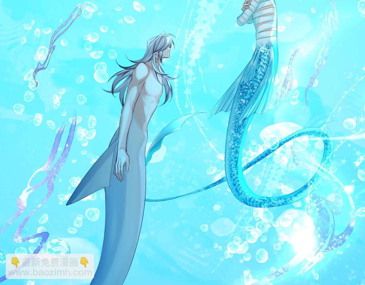 第94话 热爱......小猫咪56