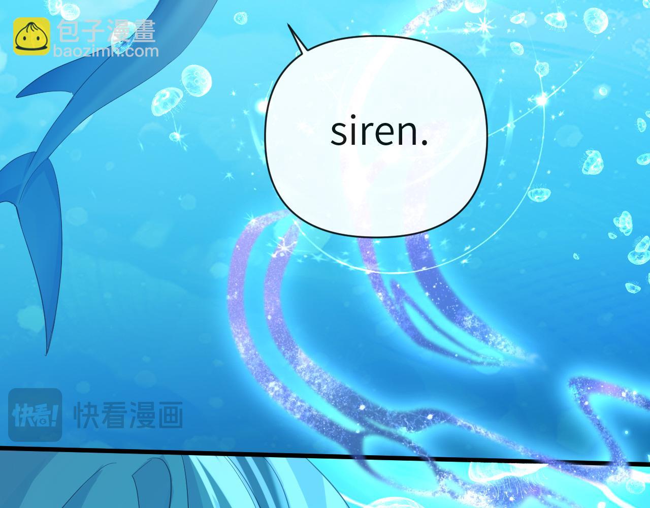 第94话 热爱......小猫咪57