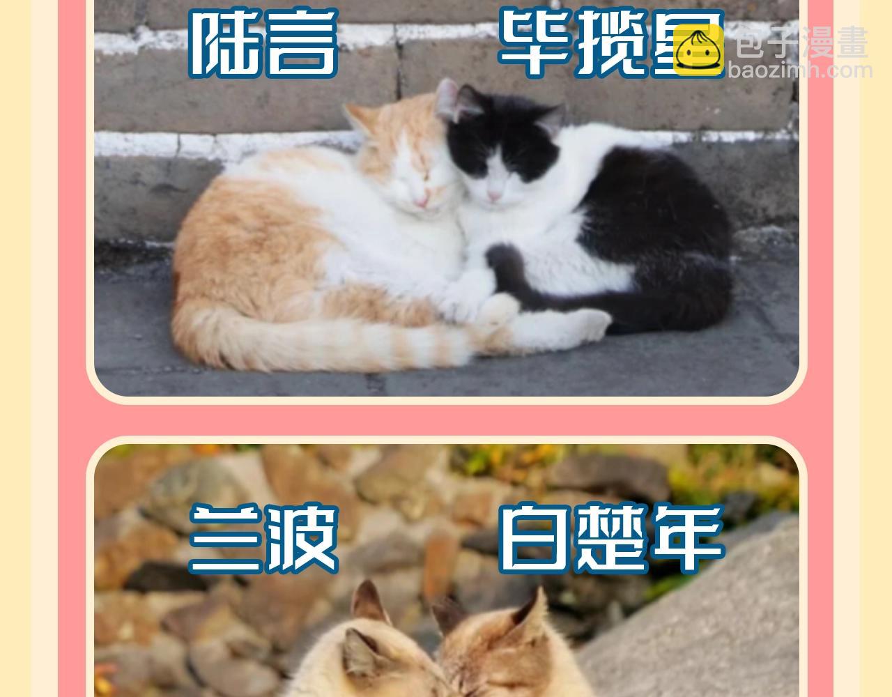 第169期 整活企划：当人鱼的各位都是猫咪！2
