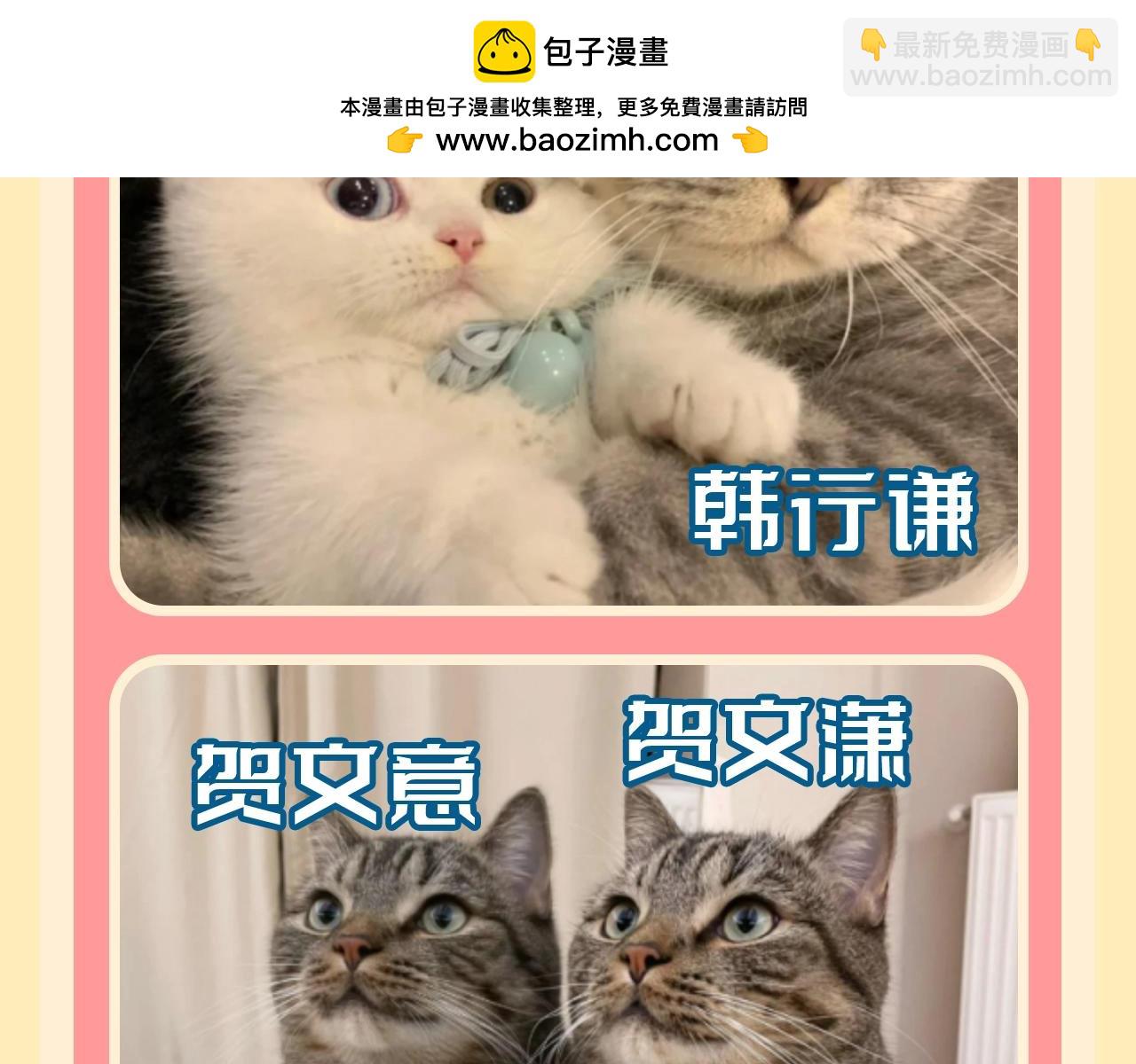 第169期 整活企划：当人鱼的各位都是猫咪！4