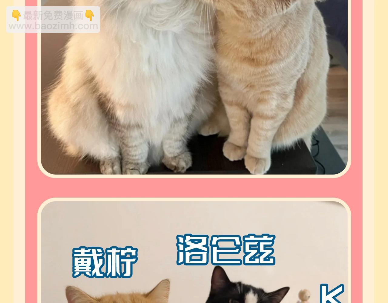 第169期 整活企划：当人鱼的各位都是猫咪！6