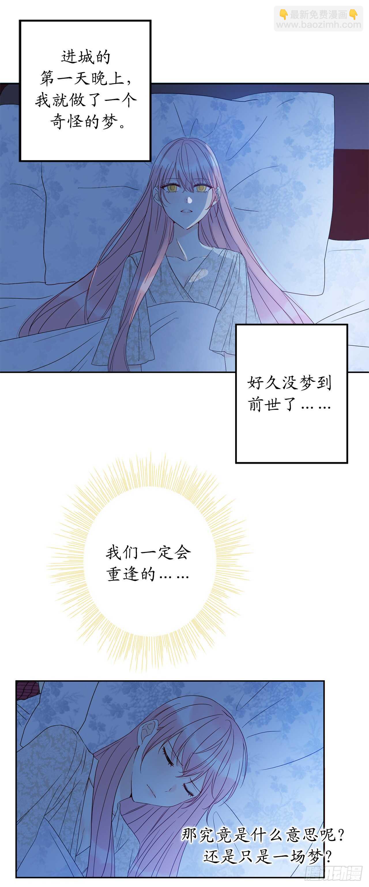29.难道他一开始就算计我？16