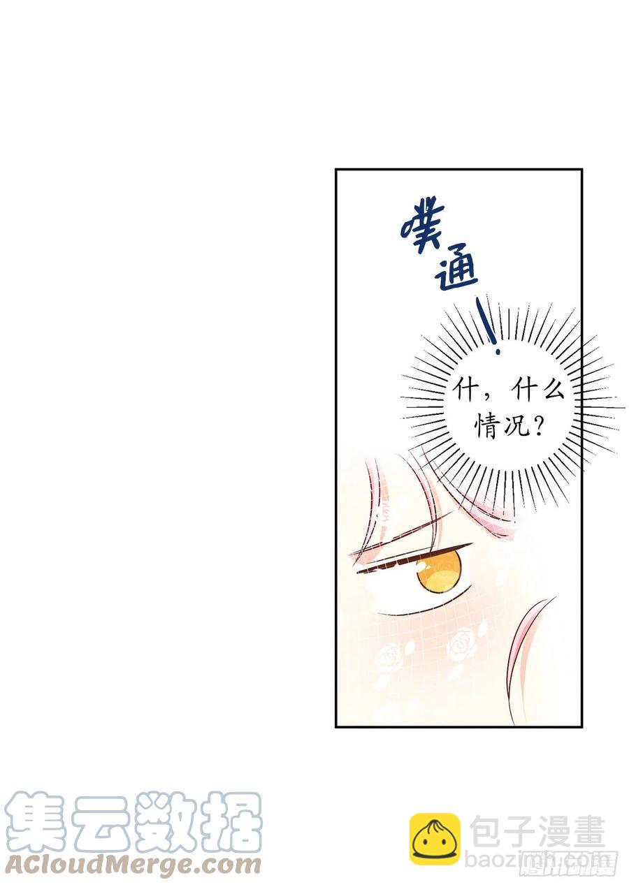 81.乔装出席宴会30