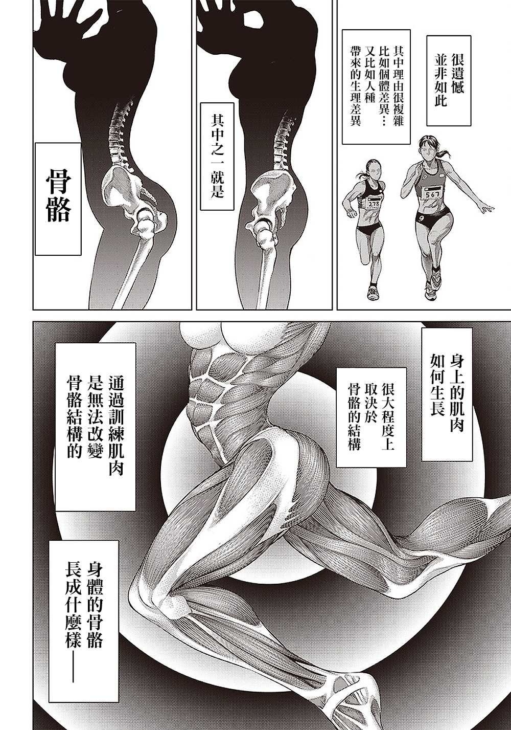 第134话 肌肉与弹性1