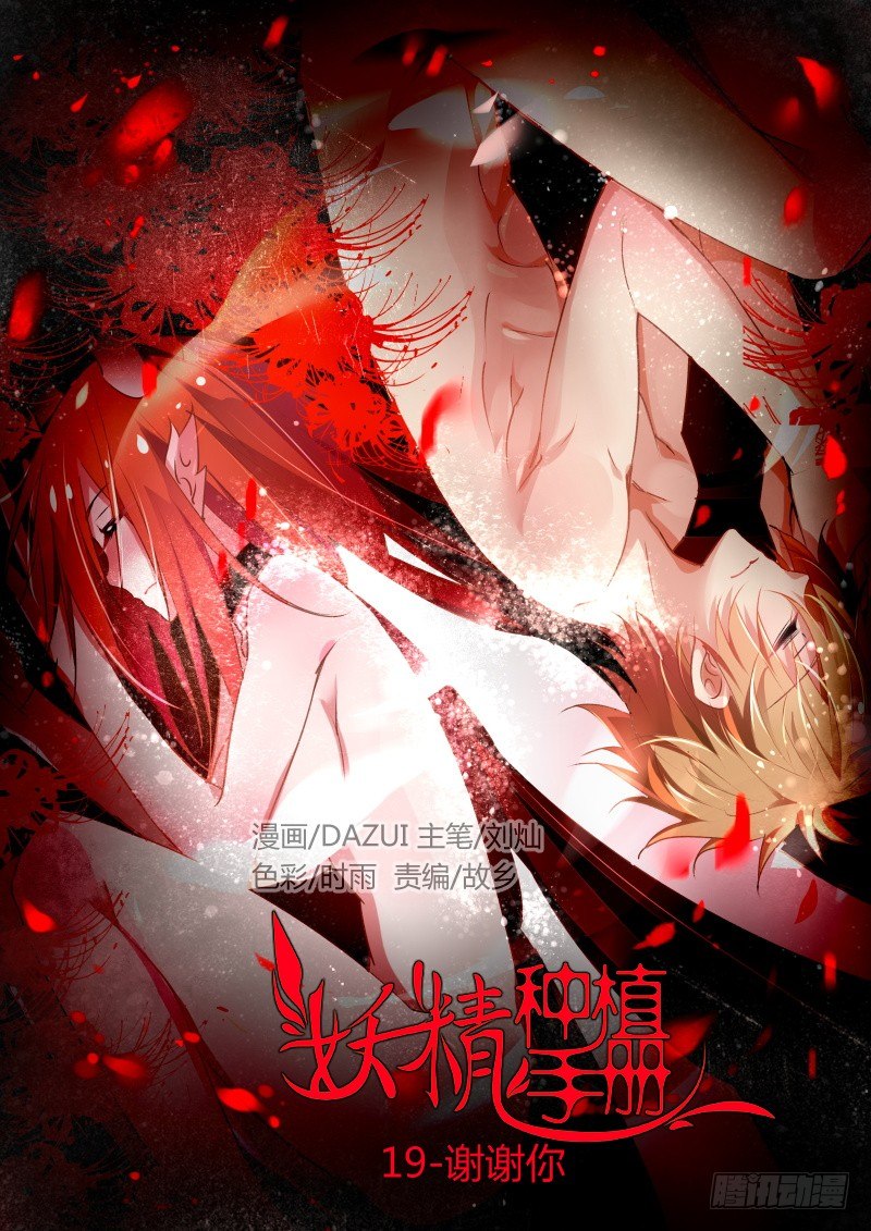 19-谢谢你0