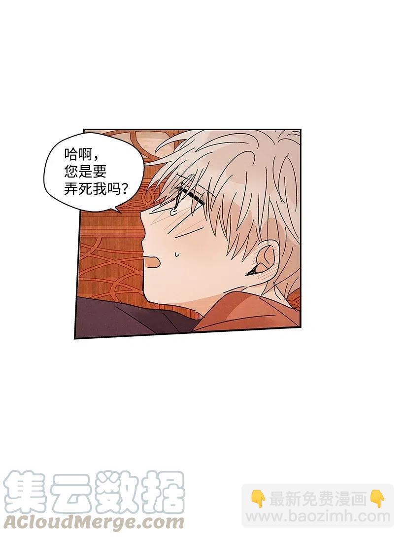 55 558