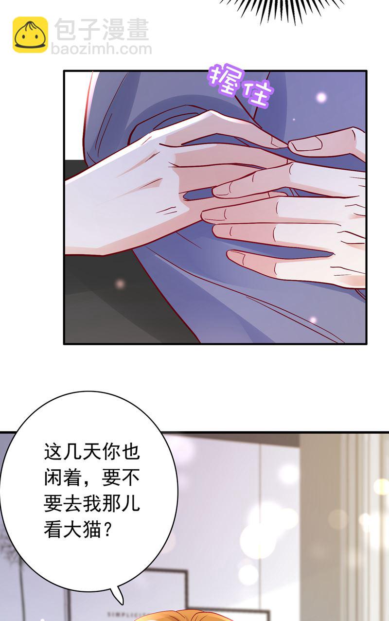 这是……大猫？！15