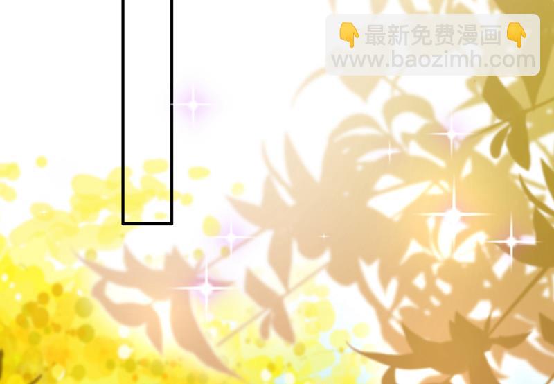 这是……大猫？！28