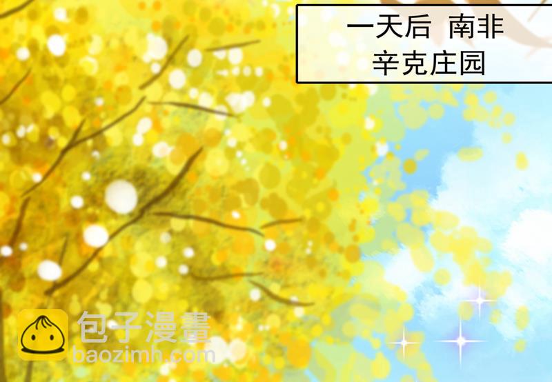 这是……大猫？！29