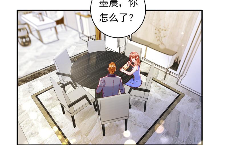 这是……大猫？！4