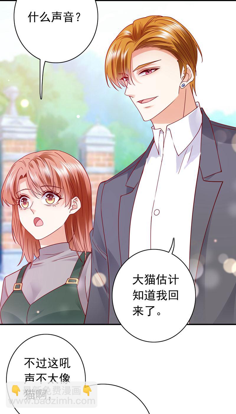 这是……大猫？！42