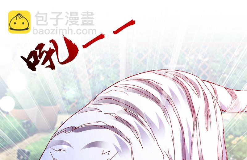 这是……大猫？！46
