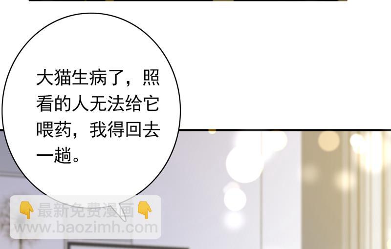 这是……大猫？！5