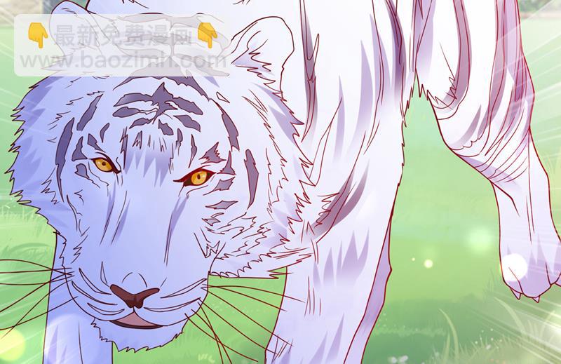 这是……大猫？！51