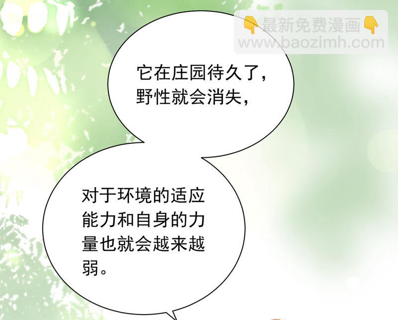 我会一直陪着你42
