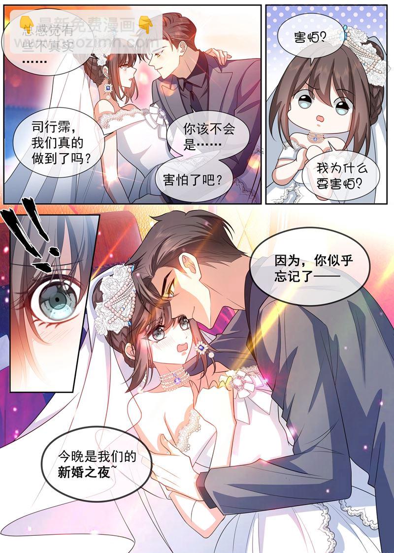 新婚之夜3