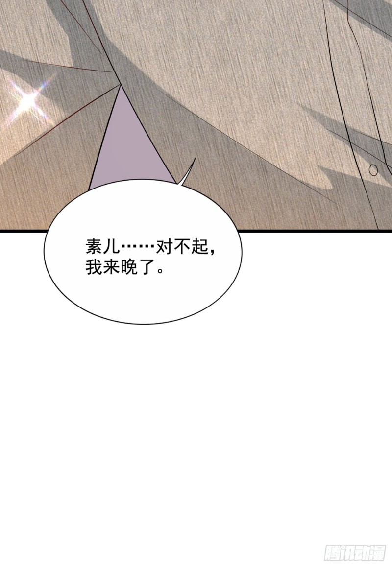 第225话 素儿，你会没事的4