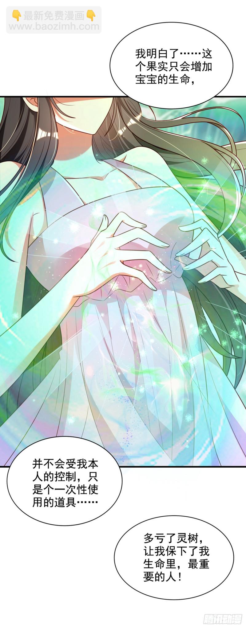 第239话 宝宝，你一定会平安27
