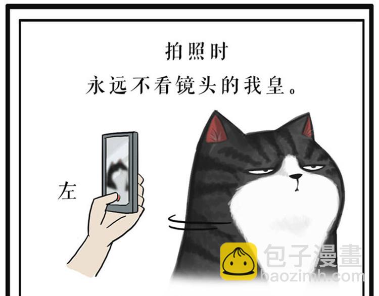 第37话 今天，你优雅了吗30