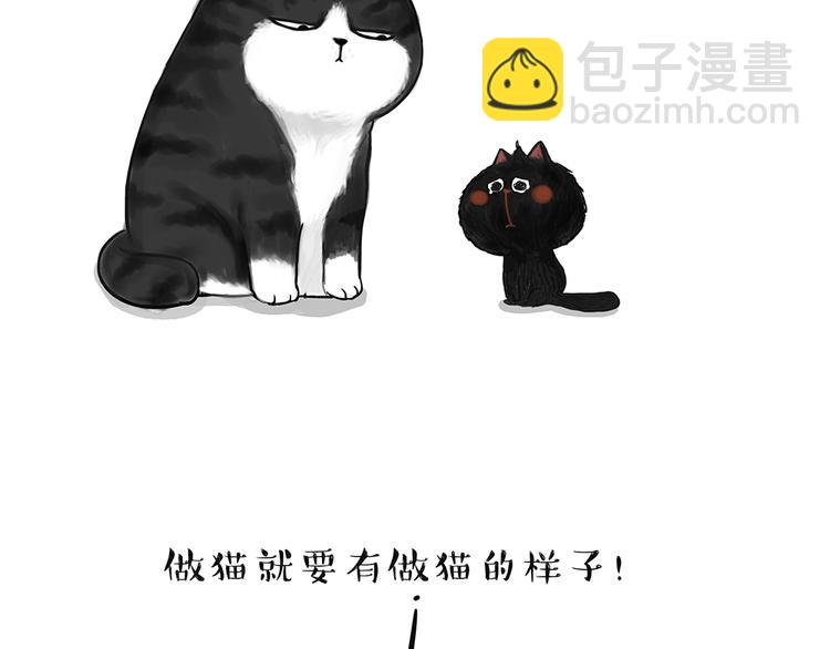 第49话 只见新人笑未闻旧人哭10