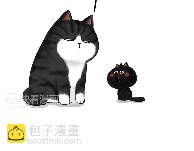 第49话 只见新人笑未闻旧人哭11