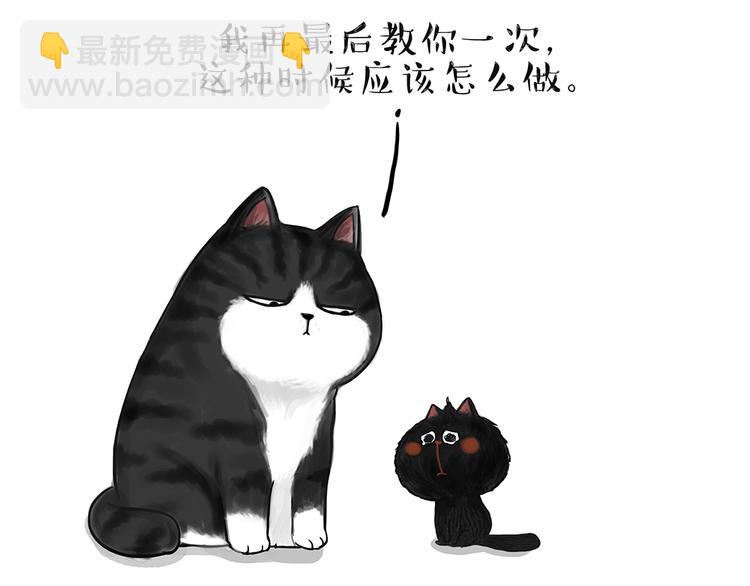 第49话 只见新人笑未闻旧人哭12