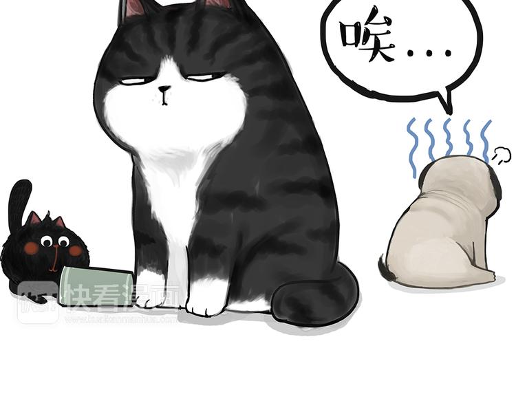 第49话 只见新人笑未闻旧人哭17