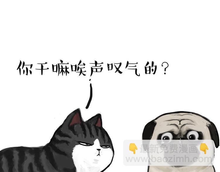 第49话 只见新人笑未闻旧人哭18