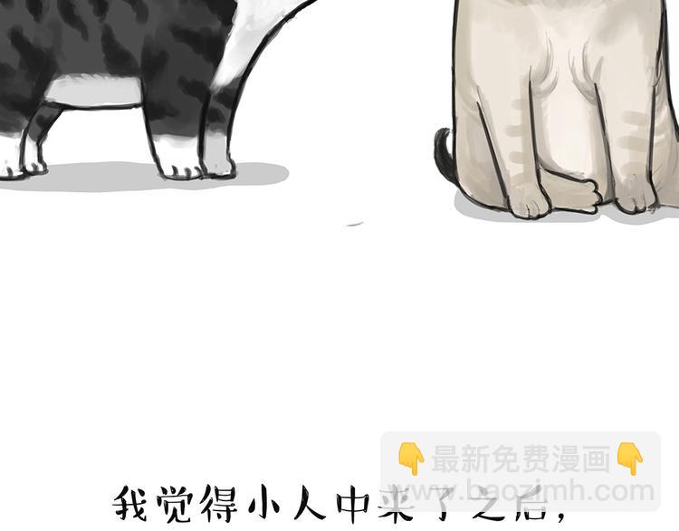 第49话 只见新人笑未闻旧人哭19