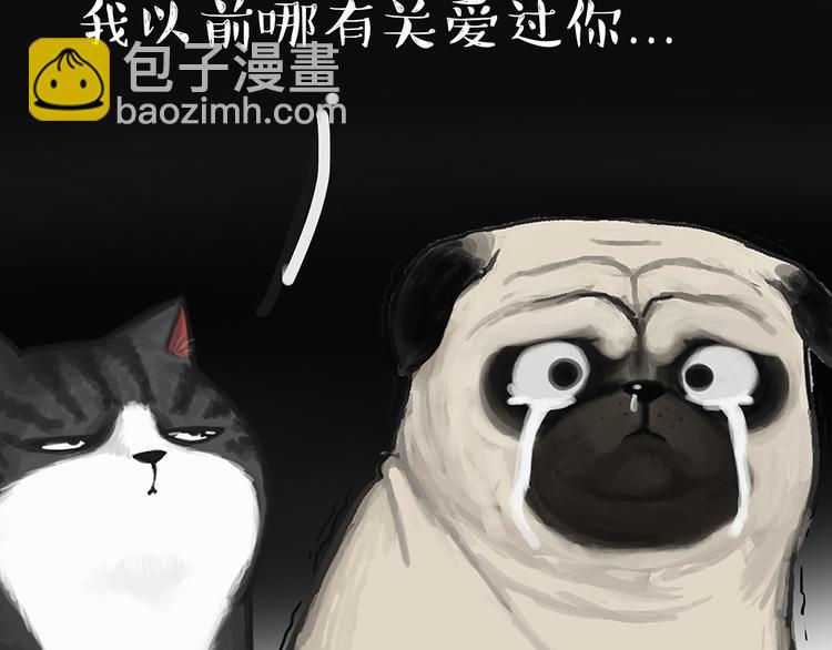 第49话 只见新人笑未闻旧人哭23