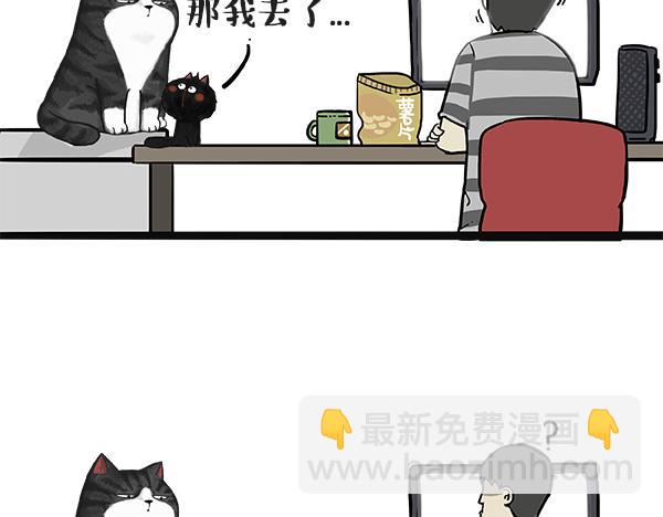 第49话 只见新人笑未闻旧人哭4