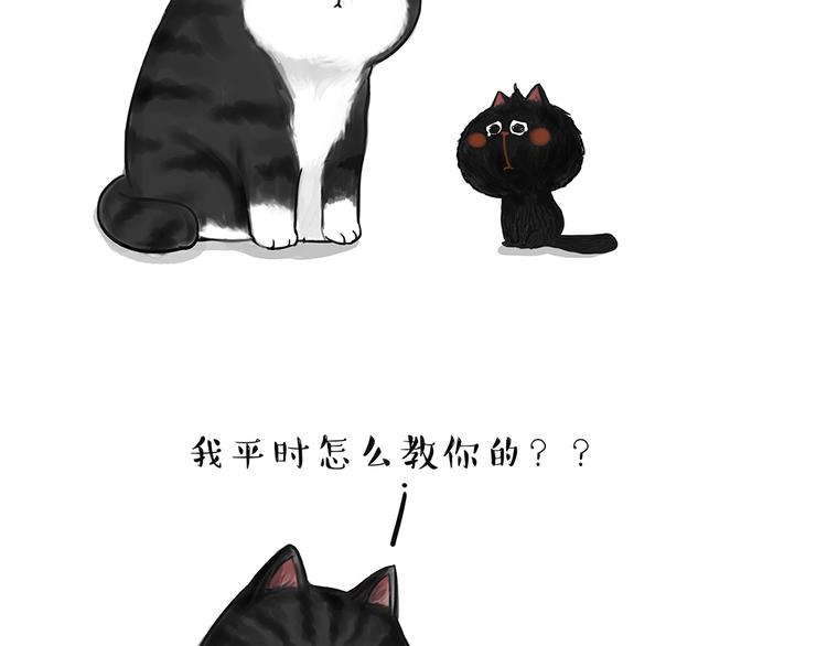 第49话 只见新人笑未闻旧人哭9