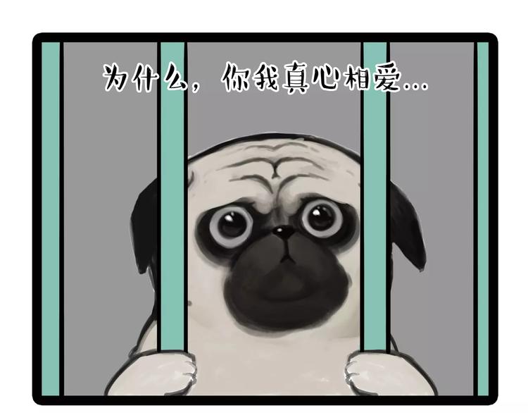 第93话 越狱0