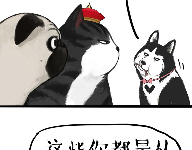 第111话 突然殷勤22