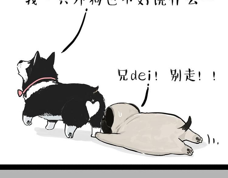 第155话 狗之礼仪17