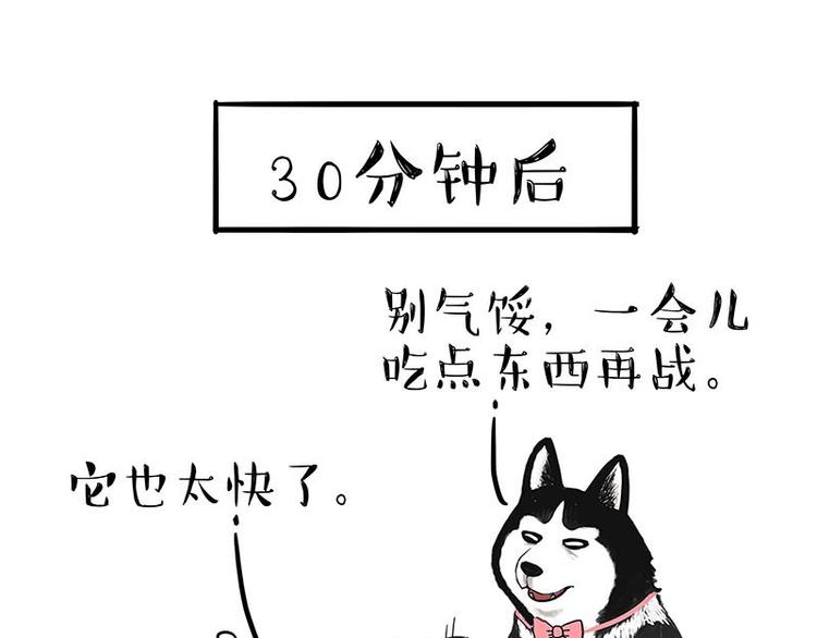 第155话 狗之礼仪22