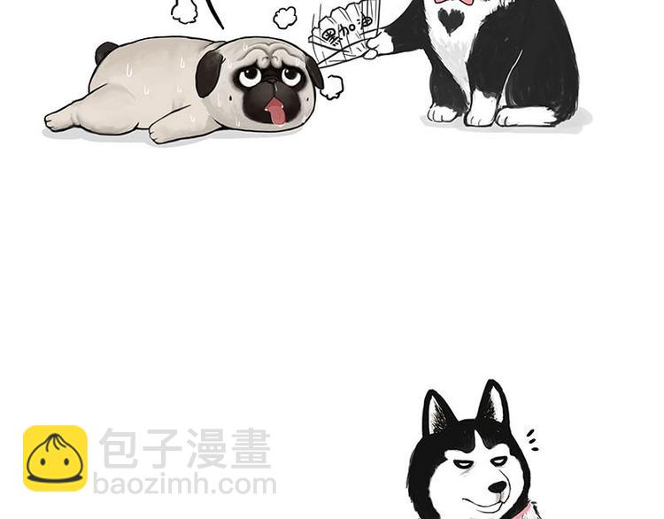 第155话 狗之礼仪23