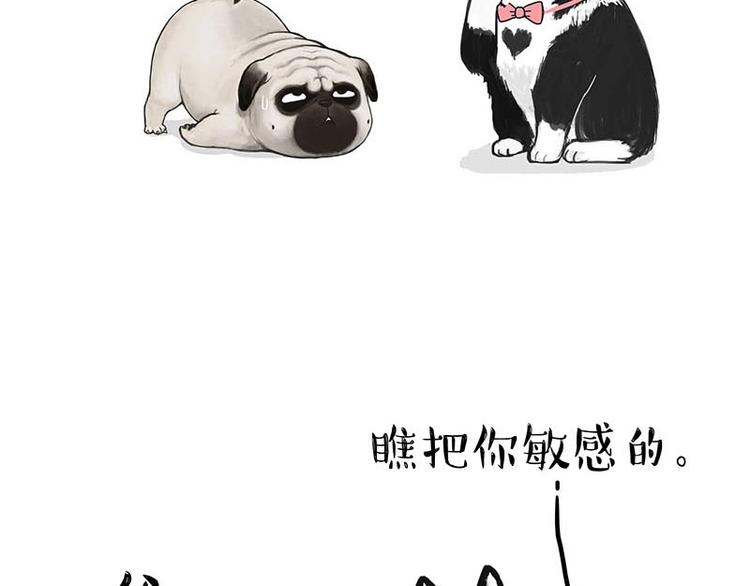 第155话 狗之礼仪26