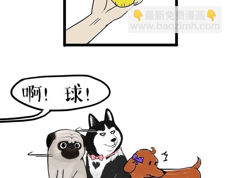 第155话 狗之礼仪7
