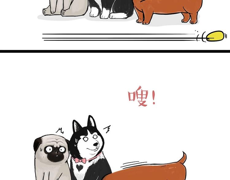 第155话 狗之礼仪8